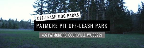 Patmore Pit Off-leash Park
